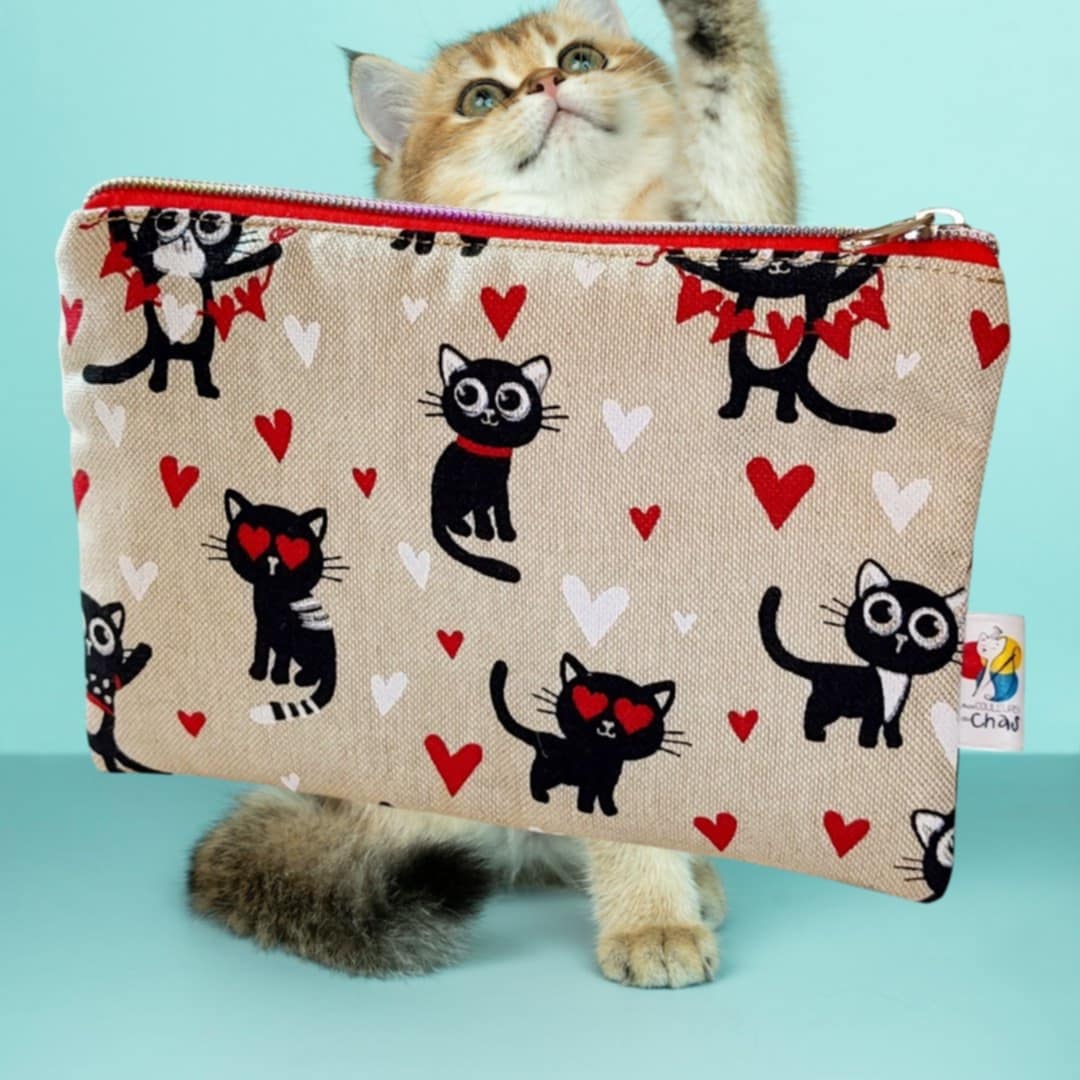 trousse chats
